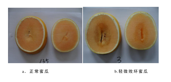 圖片2.png