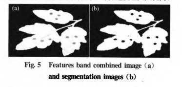 1681197368139545.png 圖片6.png