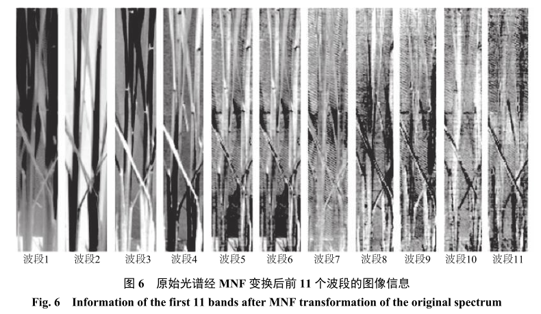 1682299046176365.png 圖片6.png