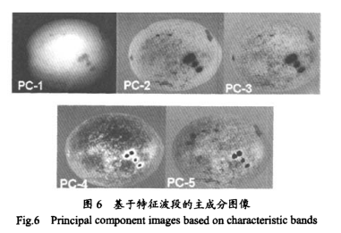 1684832777933472.png 圖片6.png