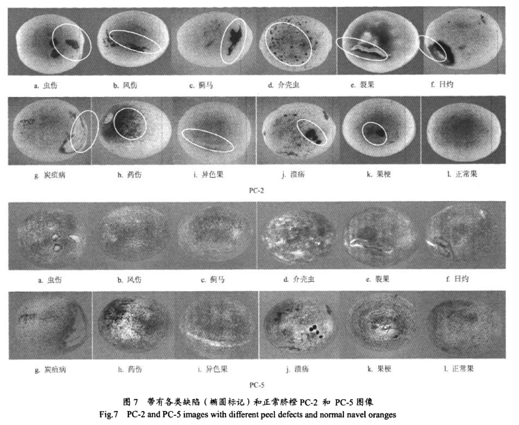 1684832787949471.png 圖片7.png