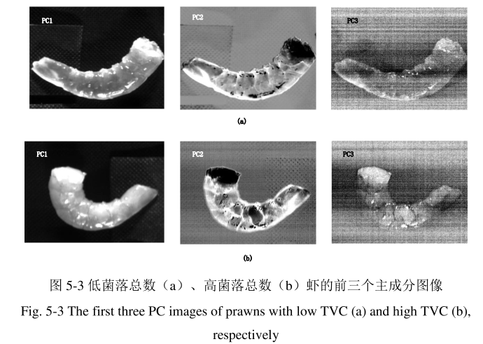 1686209544659995.png 圖片12.png