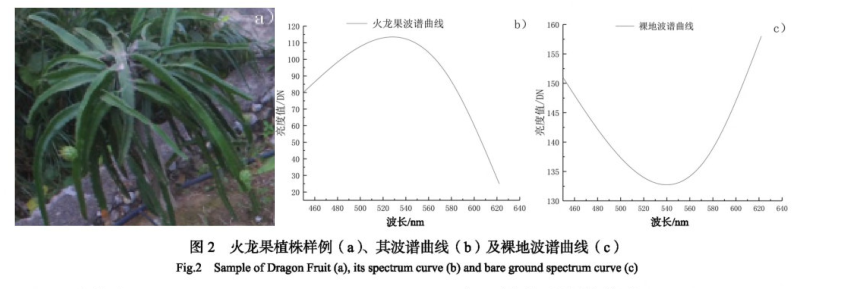 圖片3.png