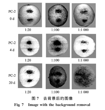 1704425272198329.png image.png