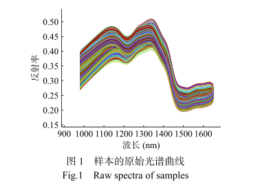 1706773064203512.png image.png