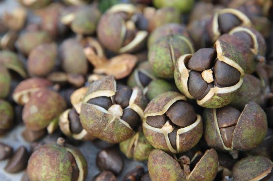 1708580833657871.png image.png