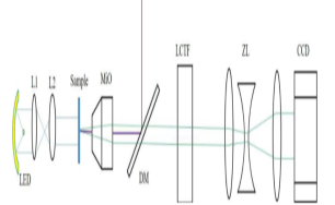 1728611480989447.png image.png