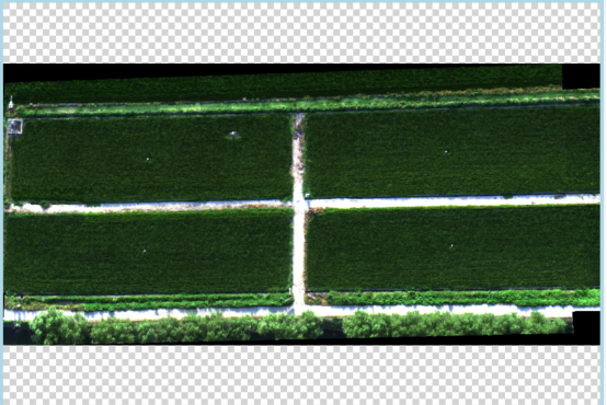 1728611512156009.png image.png