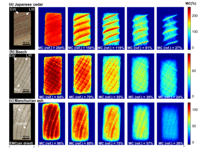 1733880038810942.png image.png