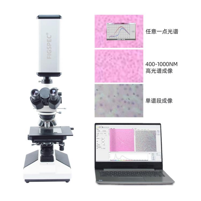 1752655388897268.png 1752655388897268.png